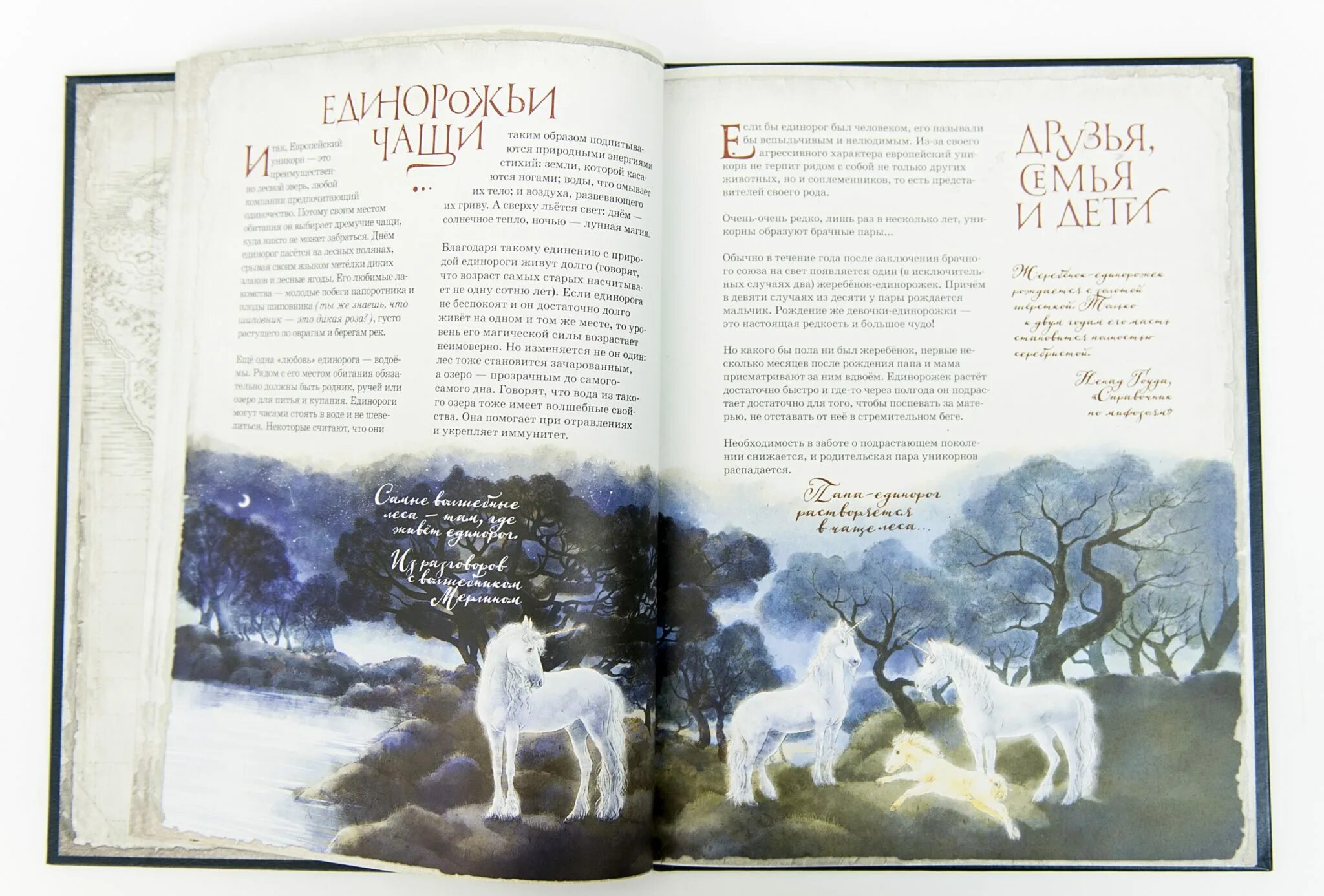 Читать книгу единорог. Последний единорог книга. великая книга единорогов. книга в поисках единорога. детская книга про единорогов.