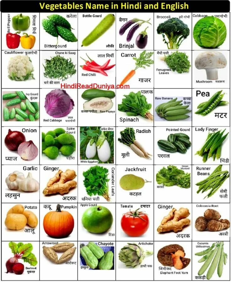 Vegetables list. Vegetables names. Овощи с именами. Vegetables in English. Виды овощей.