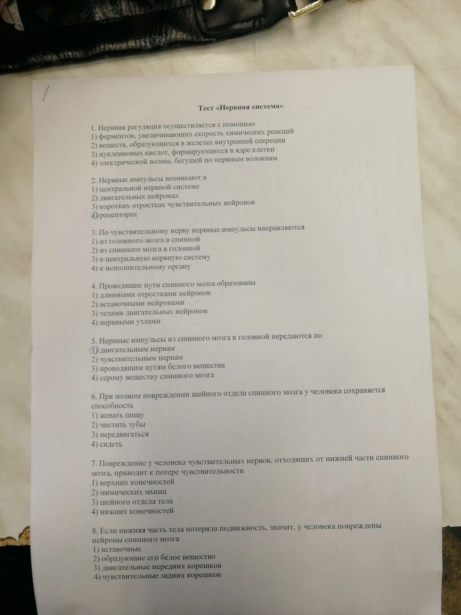 Тест на тему нервная. Тест по биологии нервная система. Контрольная работа по нервной системе. Тест по биологии 8 класс нервная система. Контрольная работа по биологии нервная система.