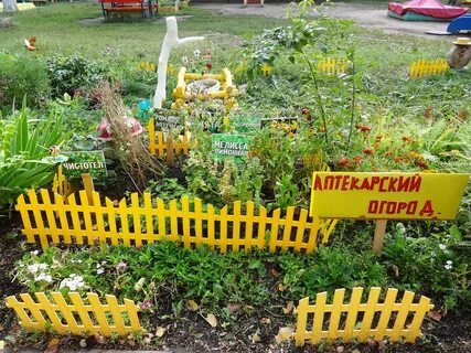 Станция огород