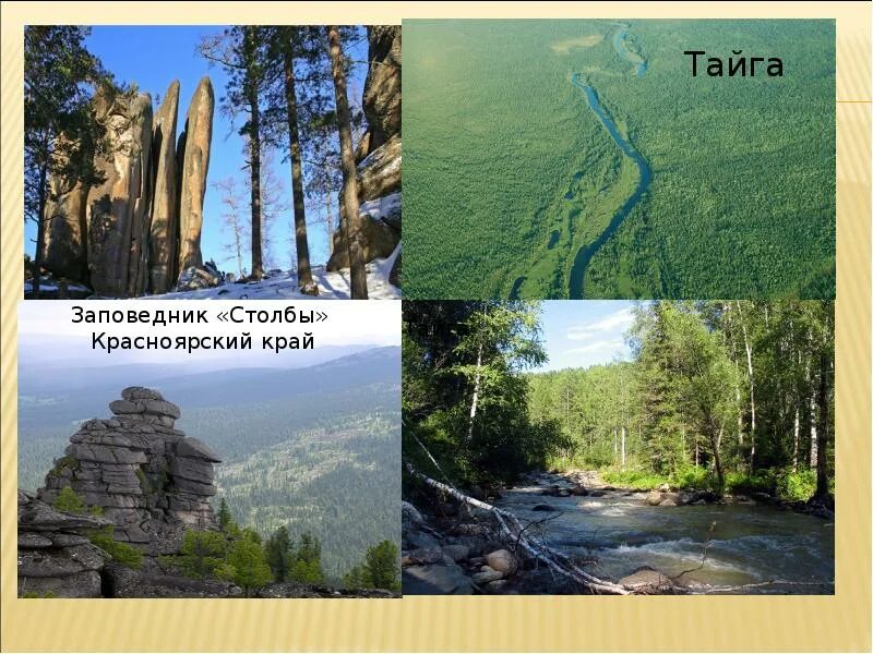 Проект разнообразие природы красноярского края 3 класс Разнообразие природы родного края красноярский край