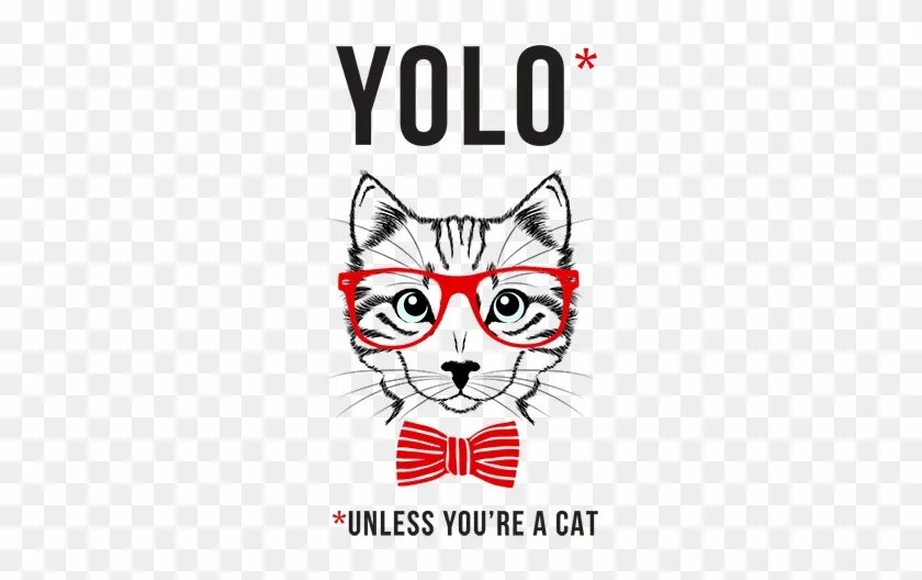 Yolo. Yolo логотип. Кошка йоло хауса. Cat t12. There isn t a cat