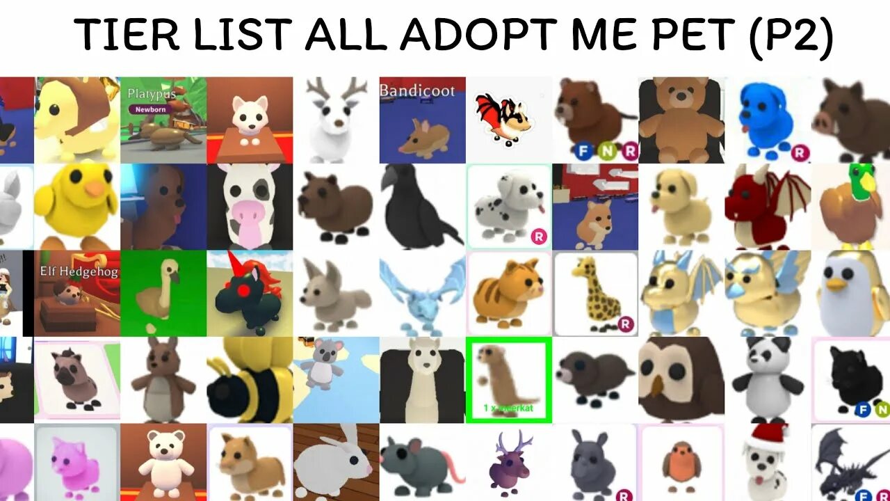 Тир лист adopt me. Adopt me Tier list Pets 2022. Adopt me Tier list. Tier list adopt me 2023 год.