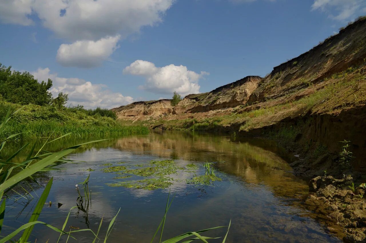 река медведица саратовская область. река медведица саратов. волгоградская обл медведица. река медведица саратовская область. жирновск река медведица.