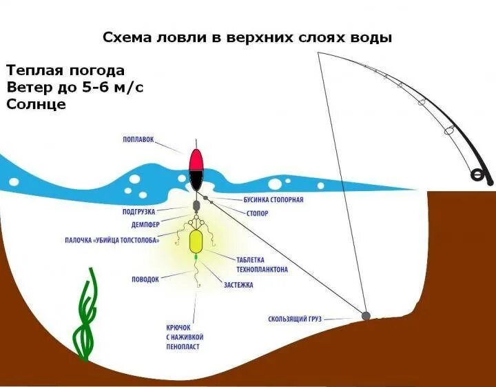 Поплавочная оснастка толстолоб. Снасть для ловли толстолобика схема. Глубина ловли толстолобика на технопланктон. Рыболовная снасть для ловли толстолобика. Ловля толстолобика на технопланктон