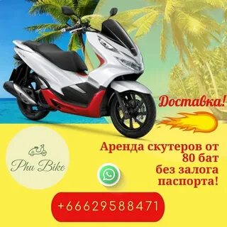 Вжик аренда мопедов