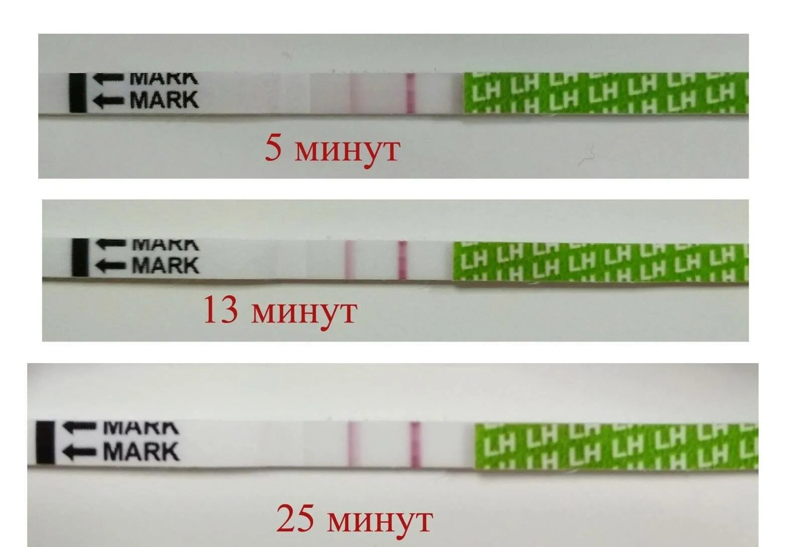 Тест овуляции положителен когда зачатия. Тест на овуляцию тест полоска результат. Тест полоски на овуляцию фраутест. Тест на овуляцию 2 полоски фраутест. Тесты на овуляцию фото.