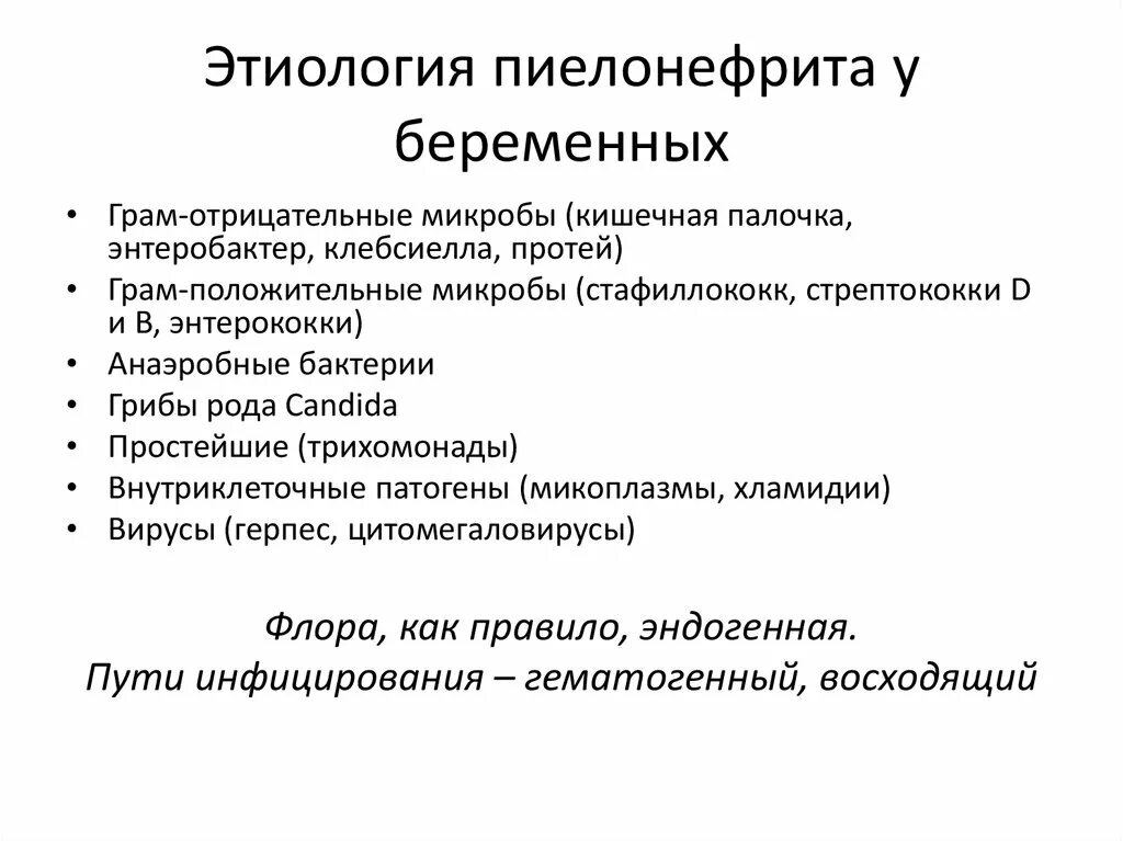 Пиелонефрит причины возникновения. Этиология (причины) пиелонефрита. Пиелонефрит этиология, предрасполагающие факторы. Патогенез пиелонефрита у беременных. Гестационный пиелонефрит этиология.