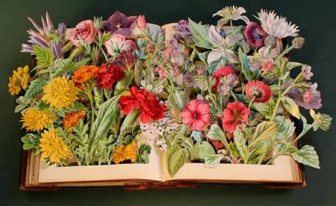 Коллаж из книг