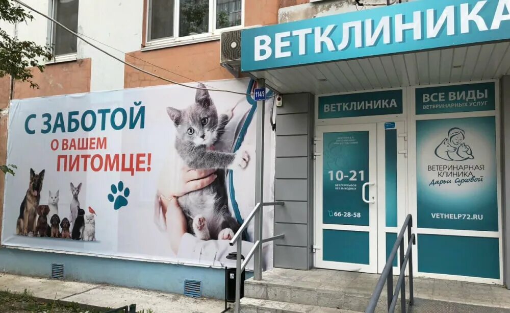 Фауна балабаново ветклиника. Ветклиника слуцк. Наседкина 12 череповец чемпион ветклиника. Ветклиника слуцк. Ул рылеева 53 брянск.