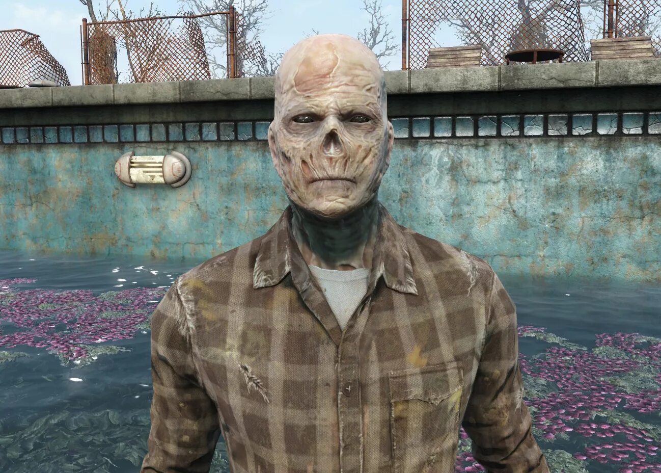 Фоллаут 4 редактор персонажа. Fallout 4 главный герой. Fallout 4 главный герой. Фоллаут 4 герои. Фоллаут 4 главный герой.