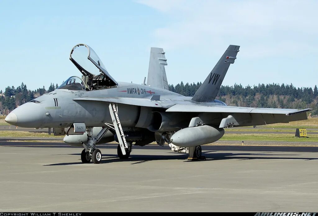 Douglas f a 18 hornet. MCDONNELL Douglas f/a-18 Hornet. Ф-18 супер Хорнет. MCDONNELL Douglas f/a-18 Hornet истребители США. VMFA 314 F A 18a.