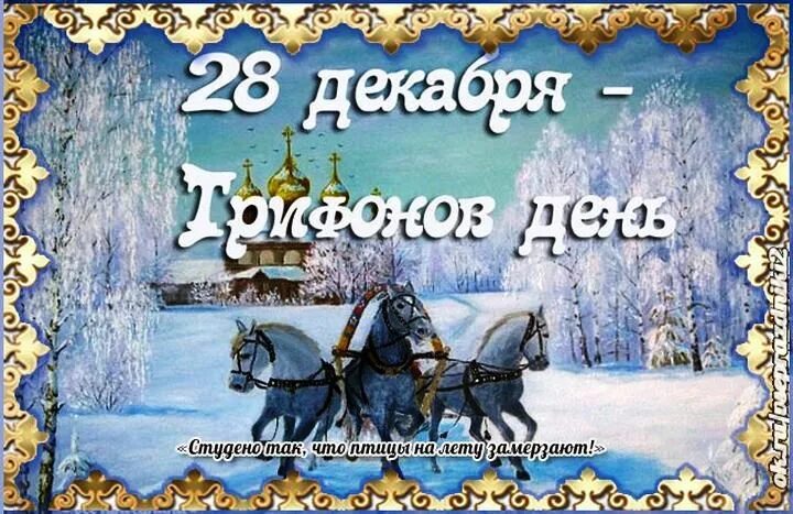 Какой сегодня праздник 28 декабря. 28 декабря народный календарь. 28 декабря день. 28 декабря трифон. трифонов день народный календарь.