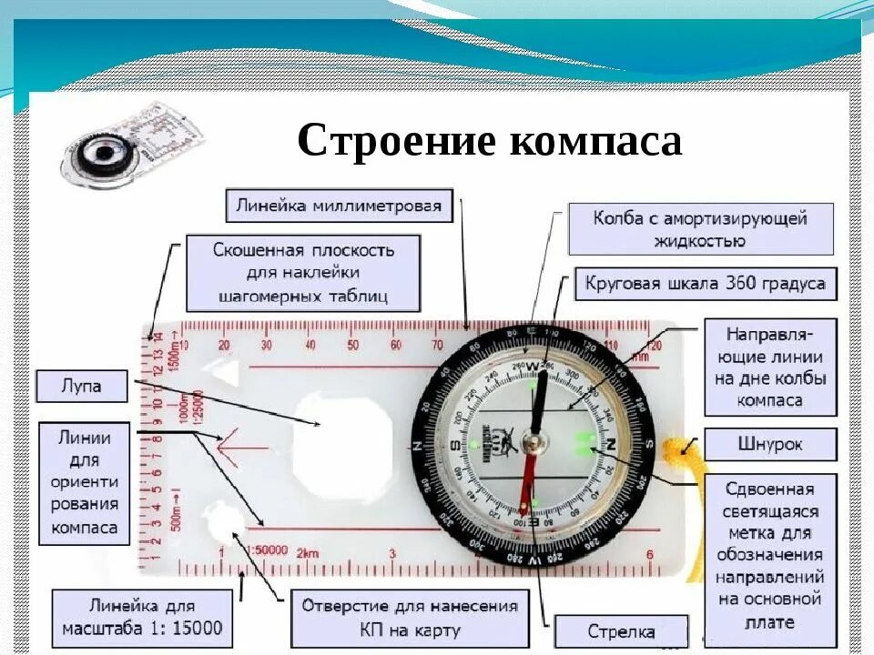 Почему корпус компаса делают. Как пользоваться компасом в ориентировании спортивном. Строение компаса. Составные части компаса. Стороны света на компасе.