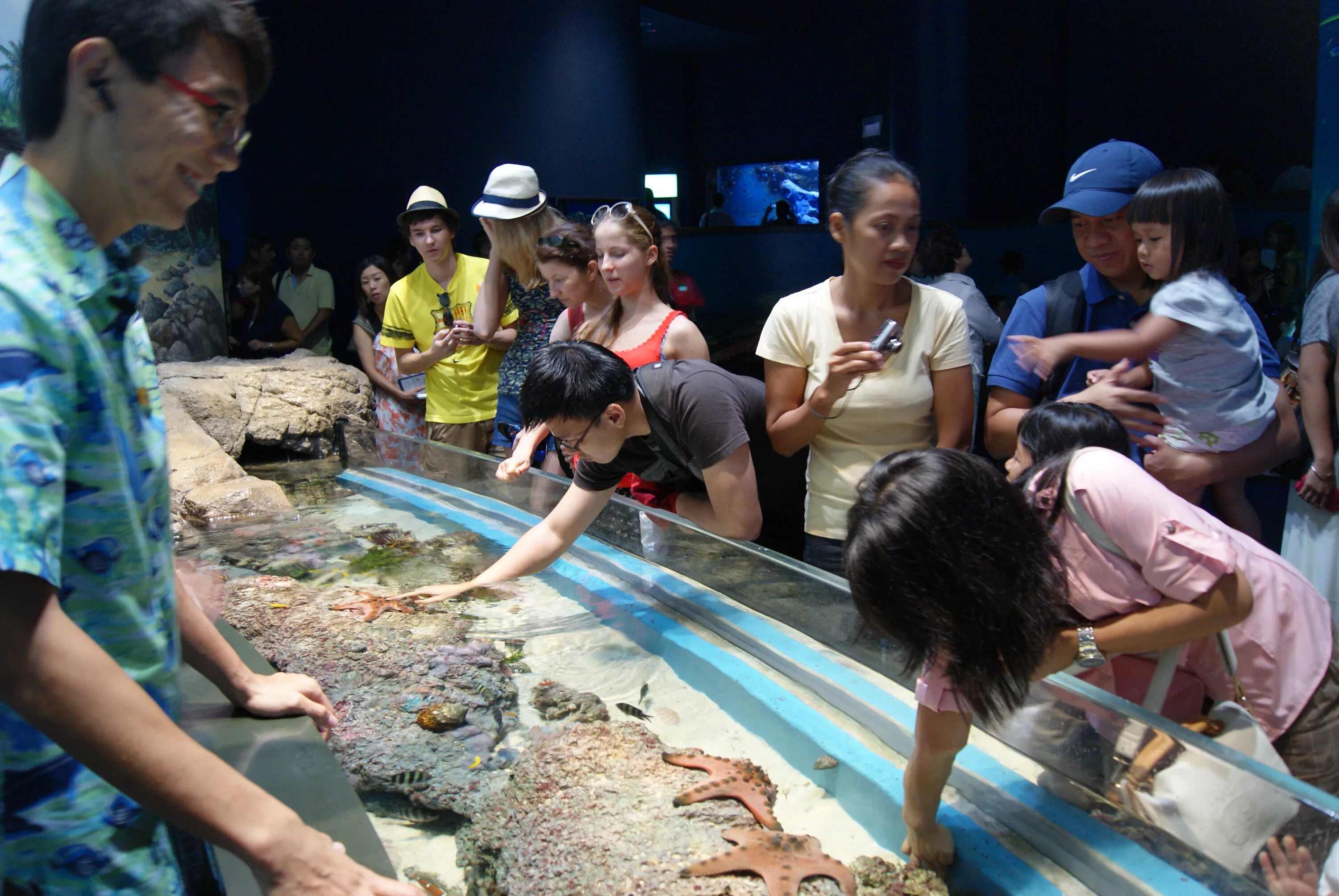 Discovering files. Marine Zoo Touch Pool. Marine Zoo Touch Pool Crabs.