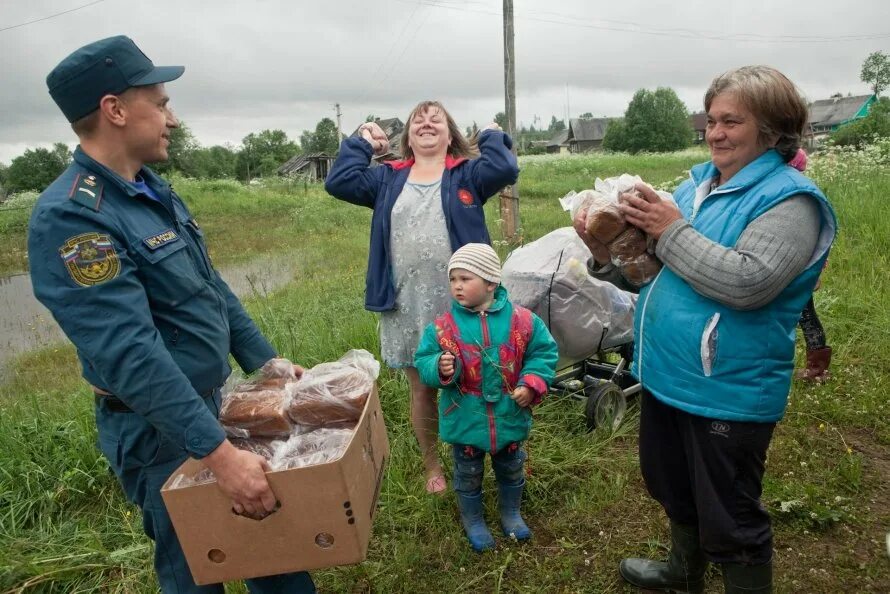окуловка крестцы дорога. любытино администрация. любытино школа. любытино новгородская область. полиция любытино новгородской области.