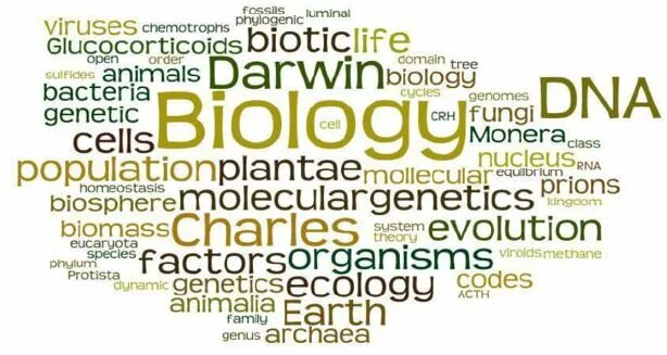 Biology life. Biology articles. Разнообразные живые организмы. Generic biology. Selection biology.
