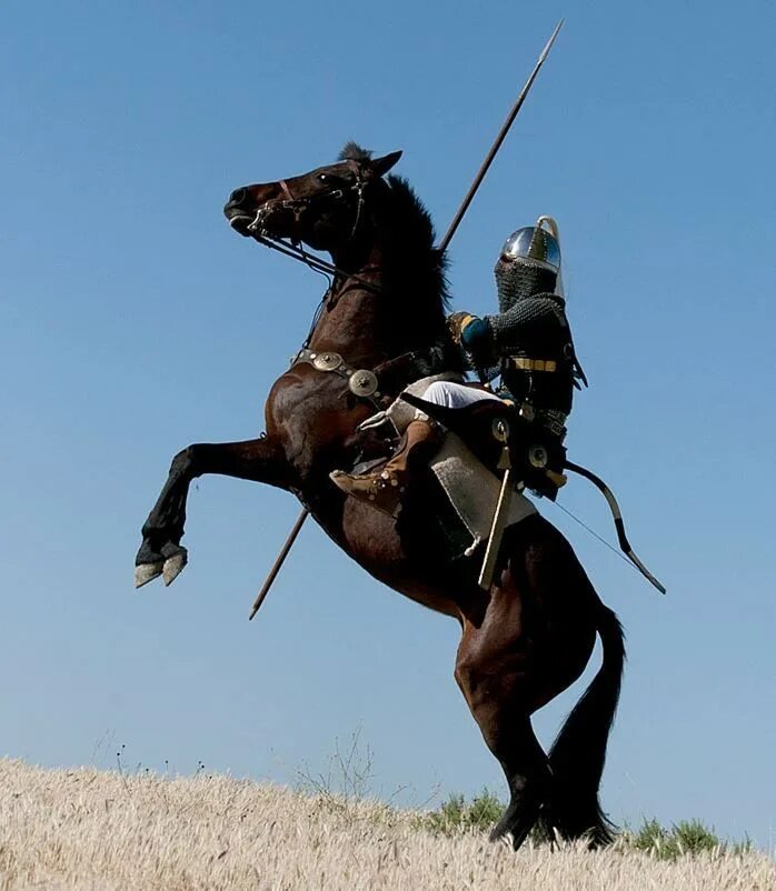 Sassanid Persian Cavalry. Черкесские мамлюки всадники. Арабский всадник. Всадник в доспехах. Наездник 6 букв