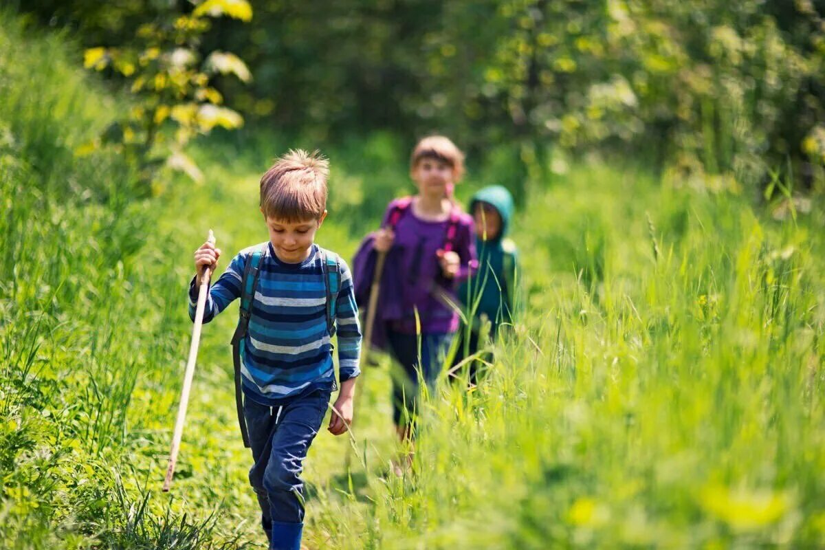 Гулять это. Дети и природа. Прогулка в лесу дети лето. Прогулки на свежем воздухе. Мальчик на природе.