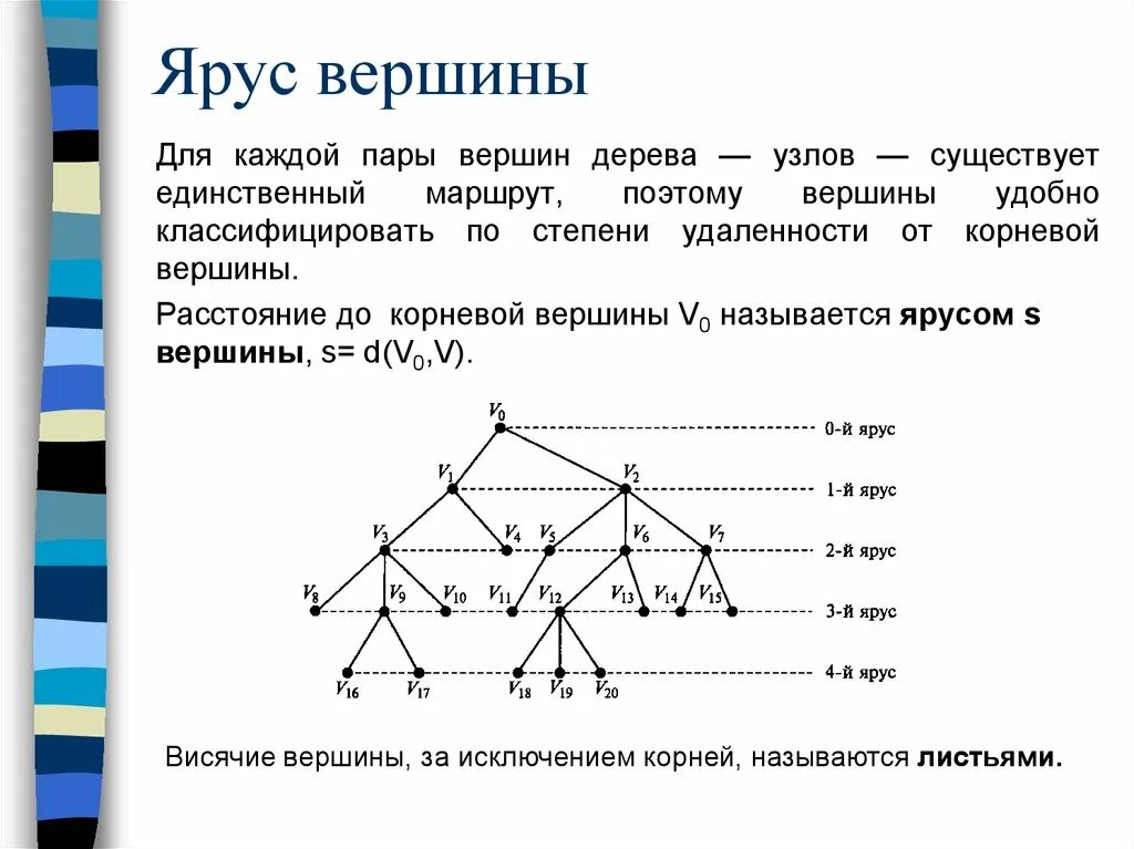 Есть ли в графе изолированная вершина. Теория графов. Дерево (теория графов). Вершина (теория графов). Маршрут теория графов.