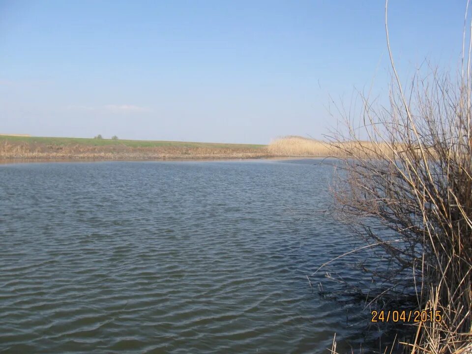Город брянка. Малиновский пруд нижегородская область. Озеро дубки. Озеро дубок волгоградская область. Дубковское озеро выборг.