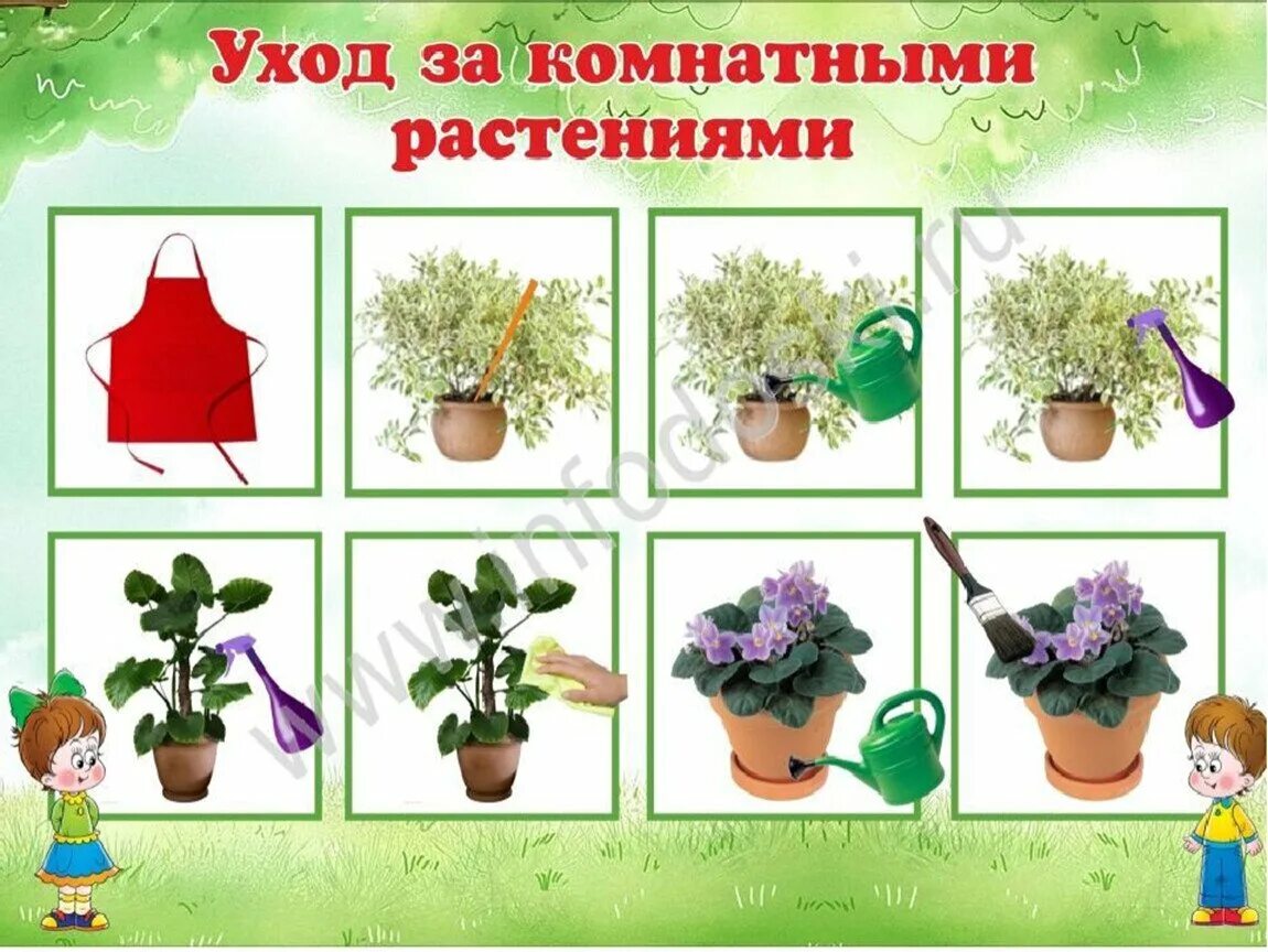 Комнатные растения для детсада. Тема комнатные цветы в средней группе. Комнатные растения для дошкольников. Комнатные цветы для дошкольников. Комнатные растения для детей.