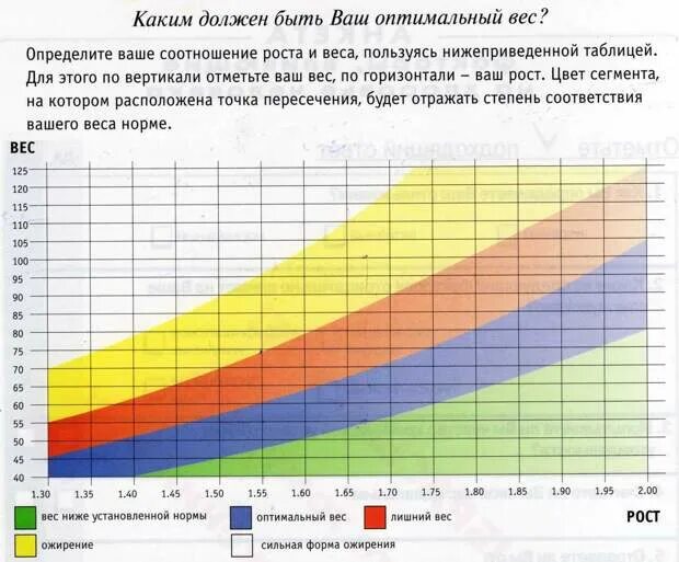 Сколько в норме теряет