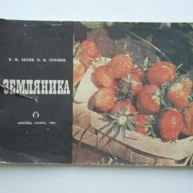 Земляника книга. Клубника Агропромиздат. Клубника Агропромиздат книги. Копылов земляника книга. Клубника заглавие на обложку книги.