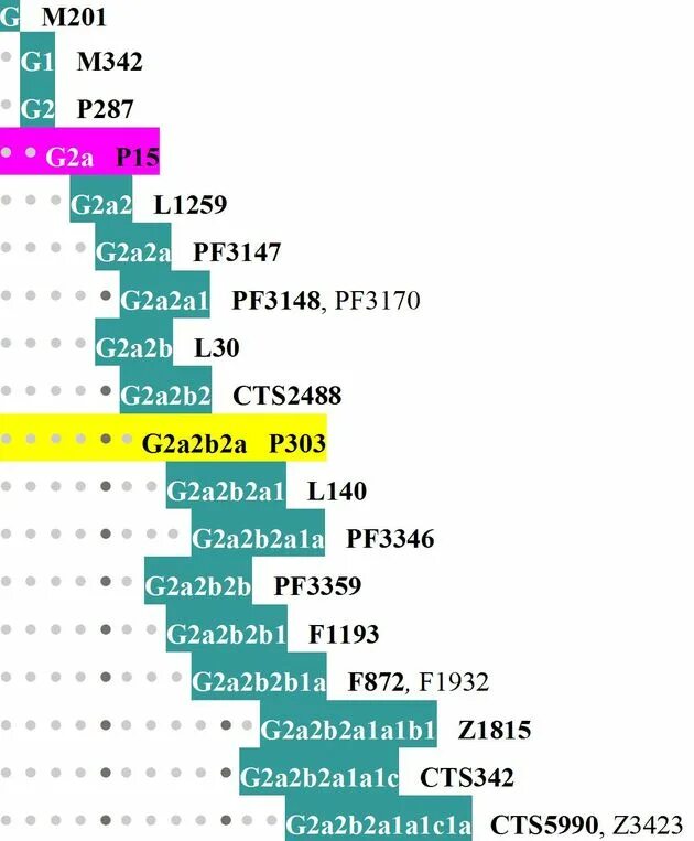 G,j,. Samsung galaxy j250. Samsung galaxy j2 prime. G2a гаплогруппа внешность. Samsung galaxy j2 prime 8gb.