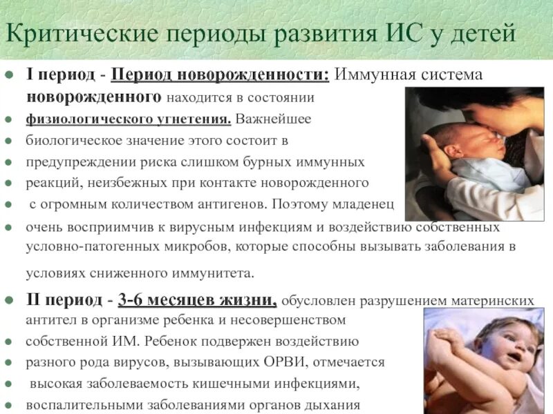 Сроки формирования иммунитета