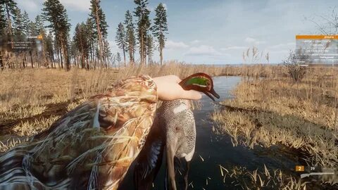Булт