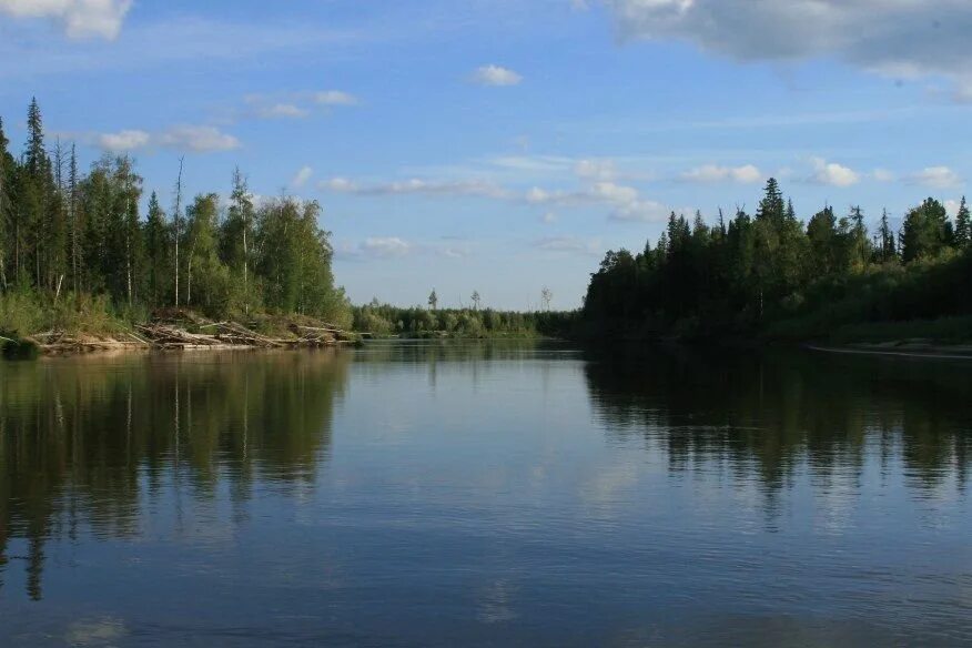 аган поселок хмао. река аган хмао. река аган варьеган хмао. река пим лянтор. аган.