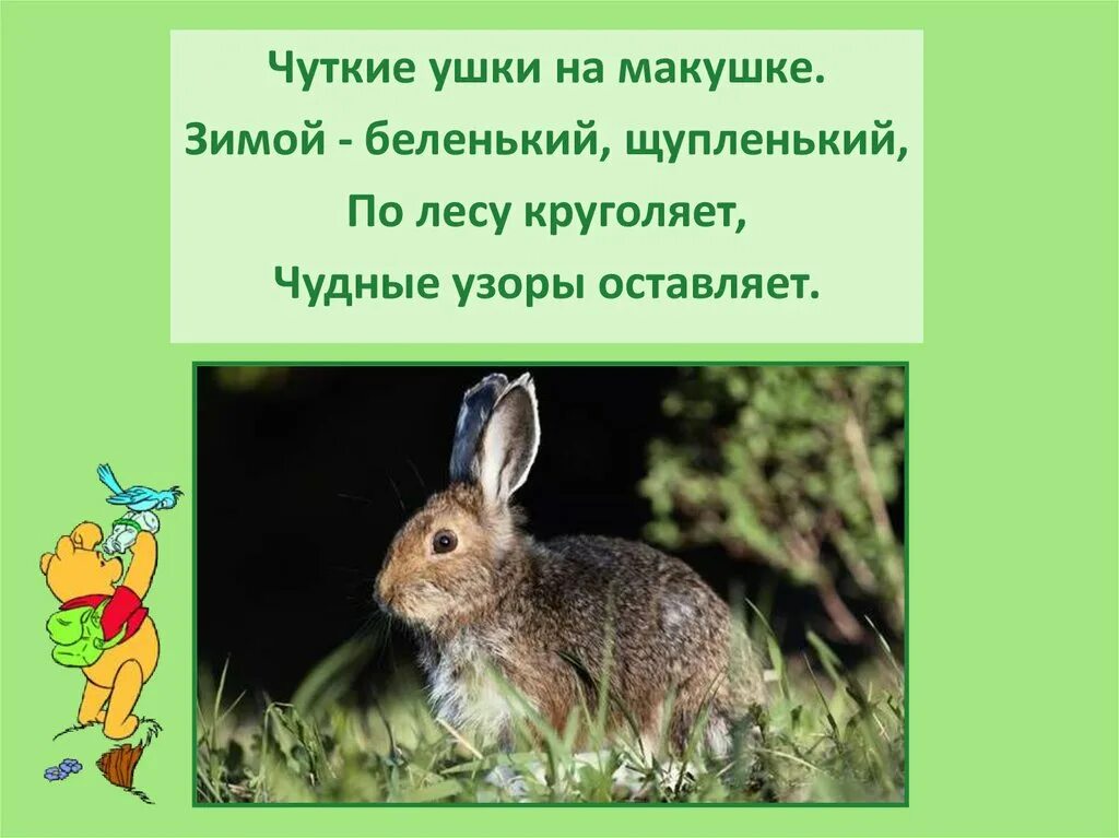 Пушистый прилагательное. Чуткие ушки. Уши торчком хвостик крючком собаки. У нее острые зубки тоненькое рыльце. Карточки фопеля.