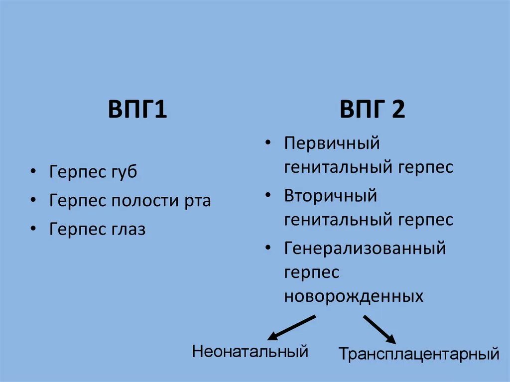 1 2 6 типа вируса. Вирус простого герпеса 1 и 2 типа. вирус простого герпеса впг 2.