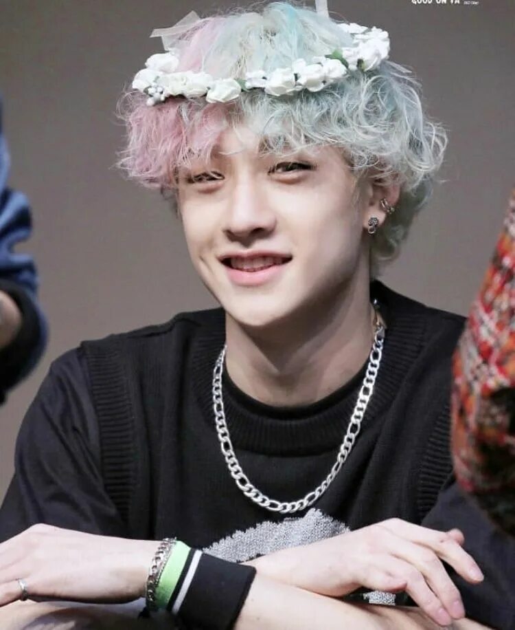 Банчан стрэй. Бан Чан профиль. Бан Чан из Stray. Бан Чан кудрявый. Bang chan red