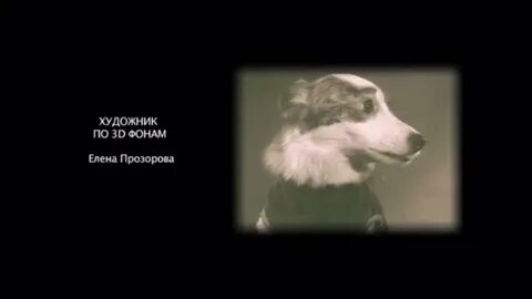 Клип моя собачка одета дороже тебя