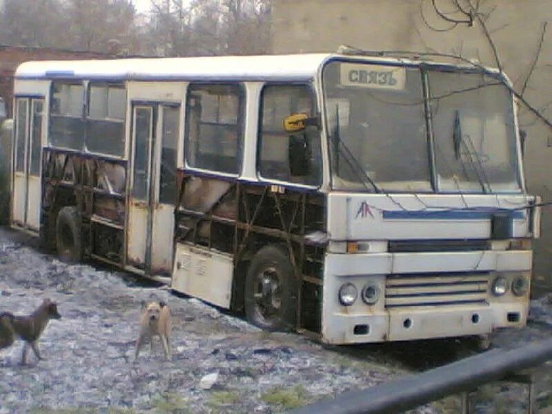 брошенный автобус в лесу. старый ржавый автобус. аруба водитель. Island bus. лаз-695м.