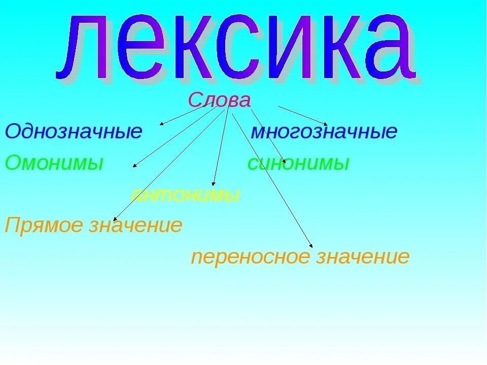 Лексика центр. Синонимы антонимы омонимы. Синонимы и антонимы. Слова синонимы антонимы омонимы. Анонимы синонимы антонимы.