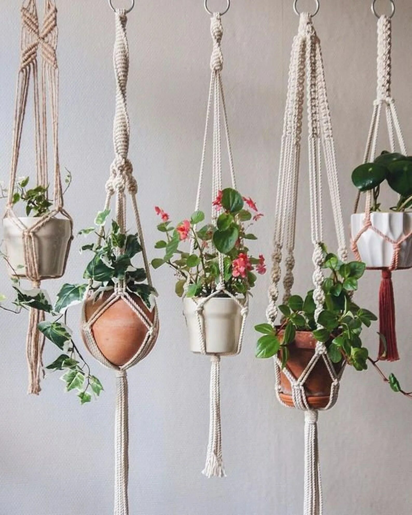 Макраме подвесы для цветов. Macrame plant hanger. подвесное кашпо для цветов. подвесные горшки для цветов. макраме кашпо для цветов.