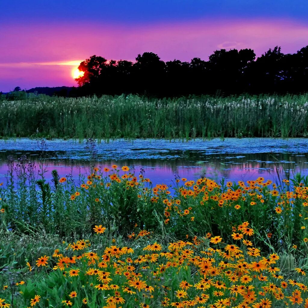 Наталина Талина on Twitter Nature photography, Beautiful landscapes, Scenery pic