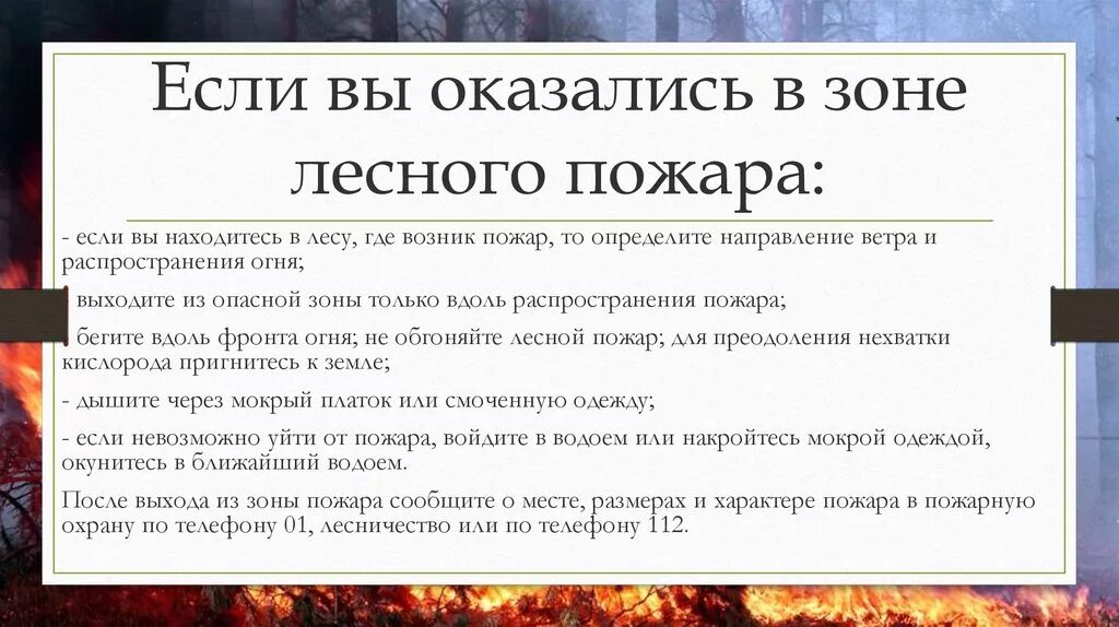 Как выйти из лесного пожара. Если вы оказались в зоне лесного пожара. Что делать если вы оказались в зоне лесного пожара. Действия если вы оказались в зоне лесного пожара. Ваши действия если вы оказались в зоне лесного пожара.