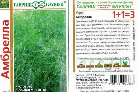 Укроп лучшие сорта для открытого