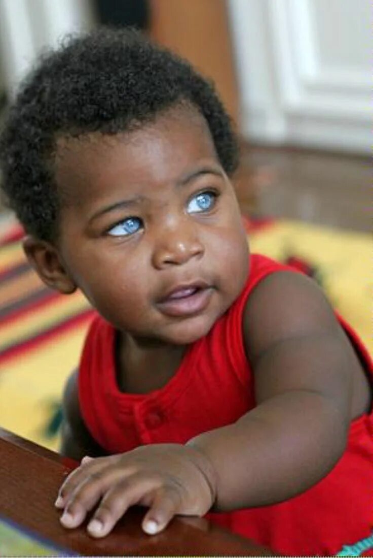 Baby got eyes. Темнокожие с голубыми глазами. Негр с голубыми глазами. Афроамериканцы с голубыми глазами. Темнокожий мальчик с голубыми глазами.