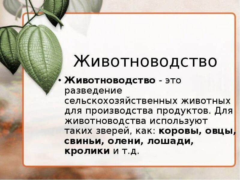 Значение млекопитающих кратко