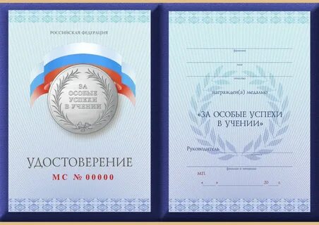 Серебряная медаль в 11 классе