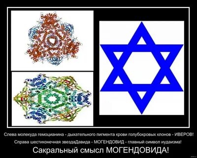 Гемоцианин