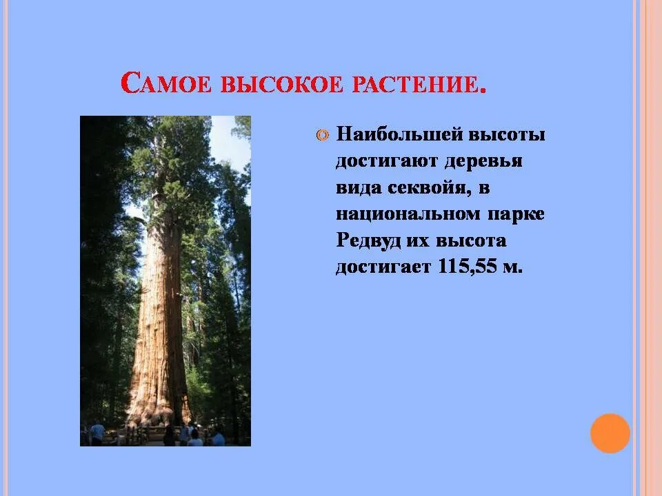 Крупнейшие аэс в мире на карте. Число пи. Изменение атмосф давления с высотой. Страны с самый нищким ввп. Название больших цифр.