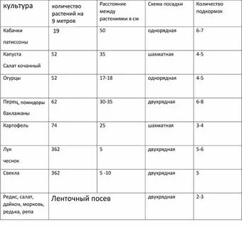 Расстояние между свеклой при посадке