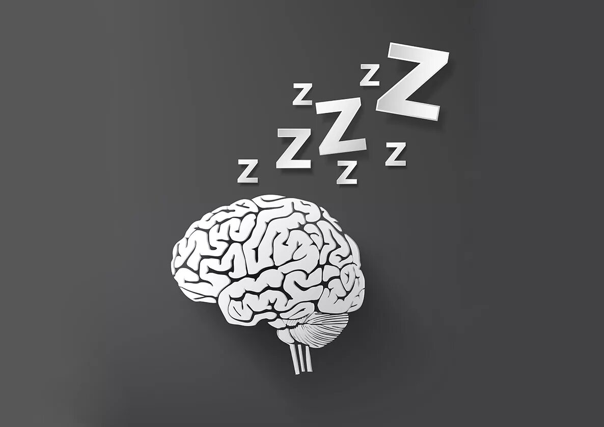 Sleeping brains. Сон и мозг. Сновидения мозг.