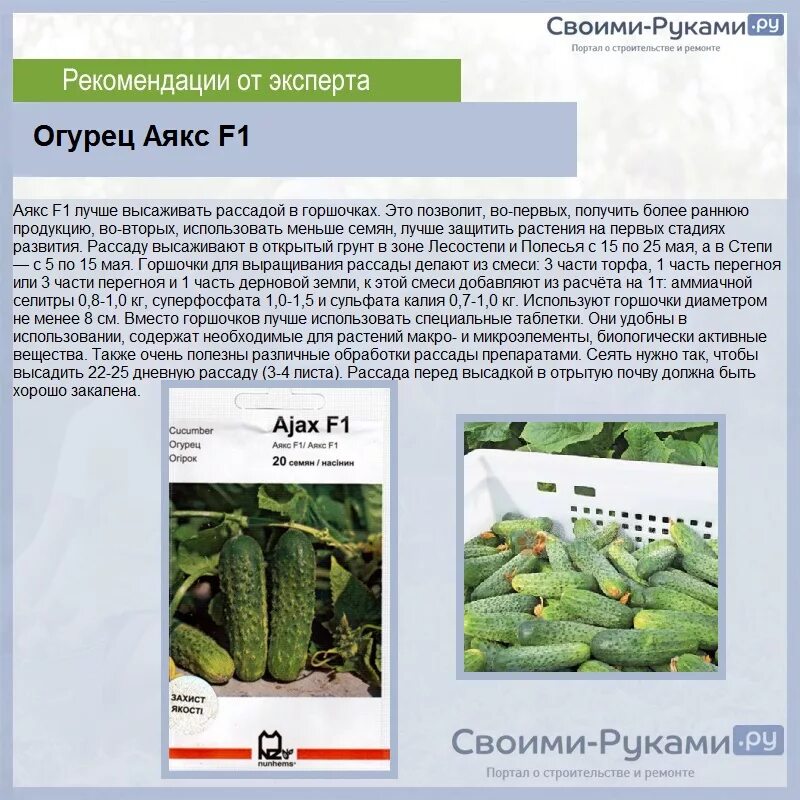Огурец Аякс F1 (Nunhems) 10 шт.